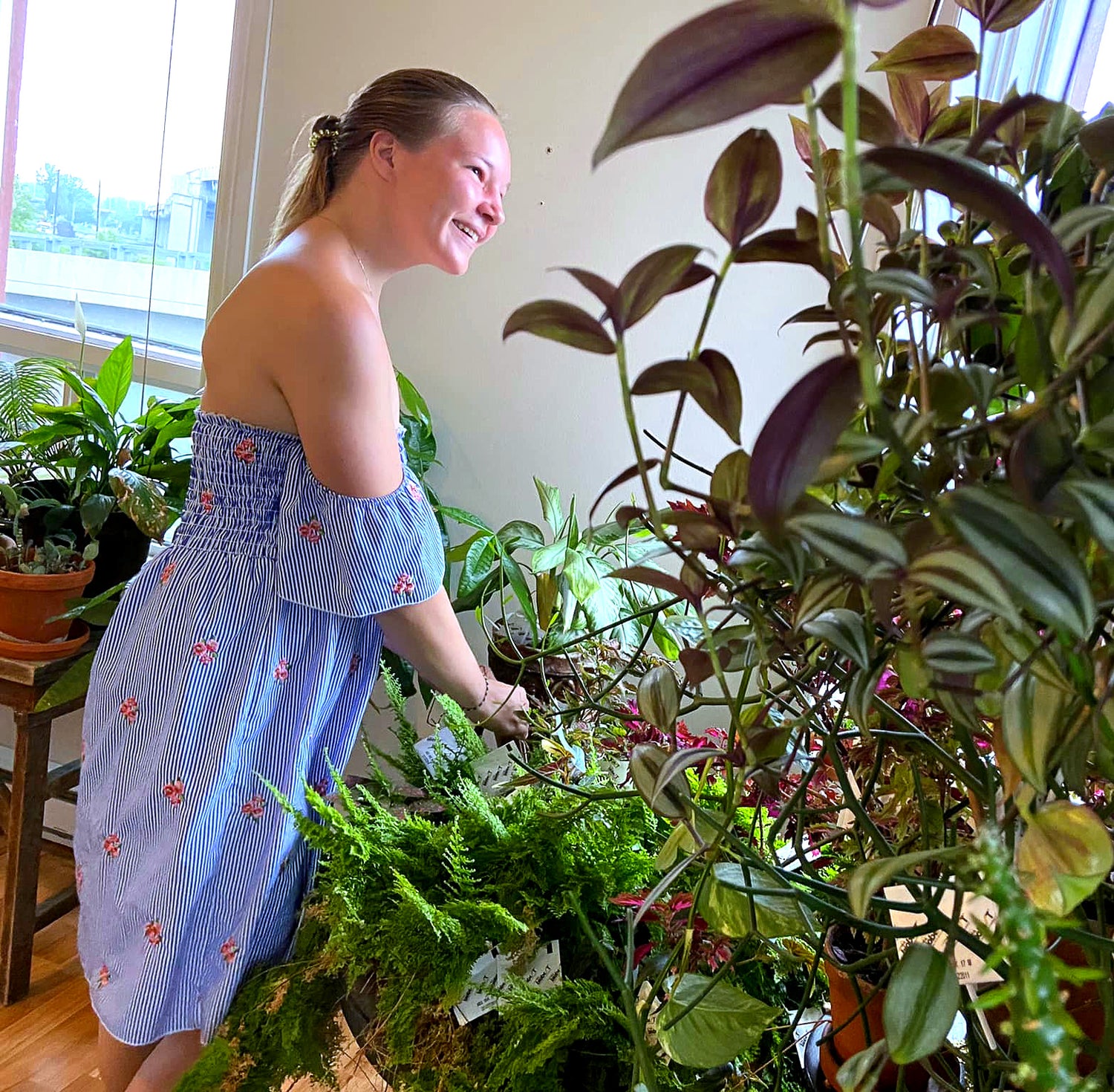 Séréna Bilodeau (la lutteuse biologique) dans un appartement rempli de plantes d'intérieur à Québec