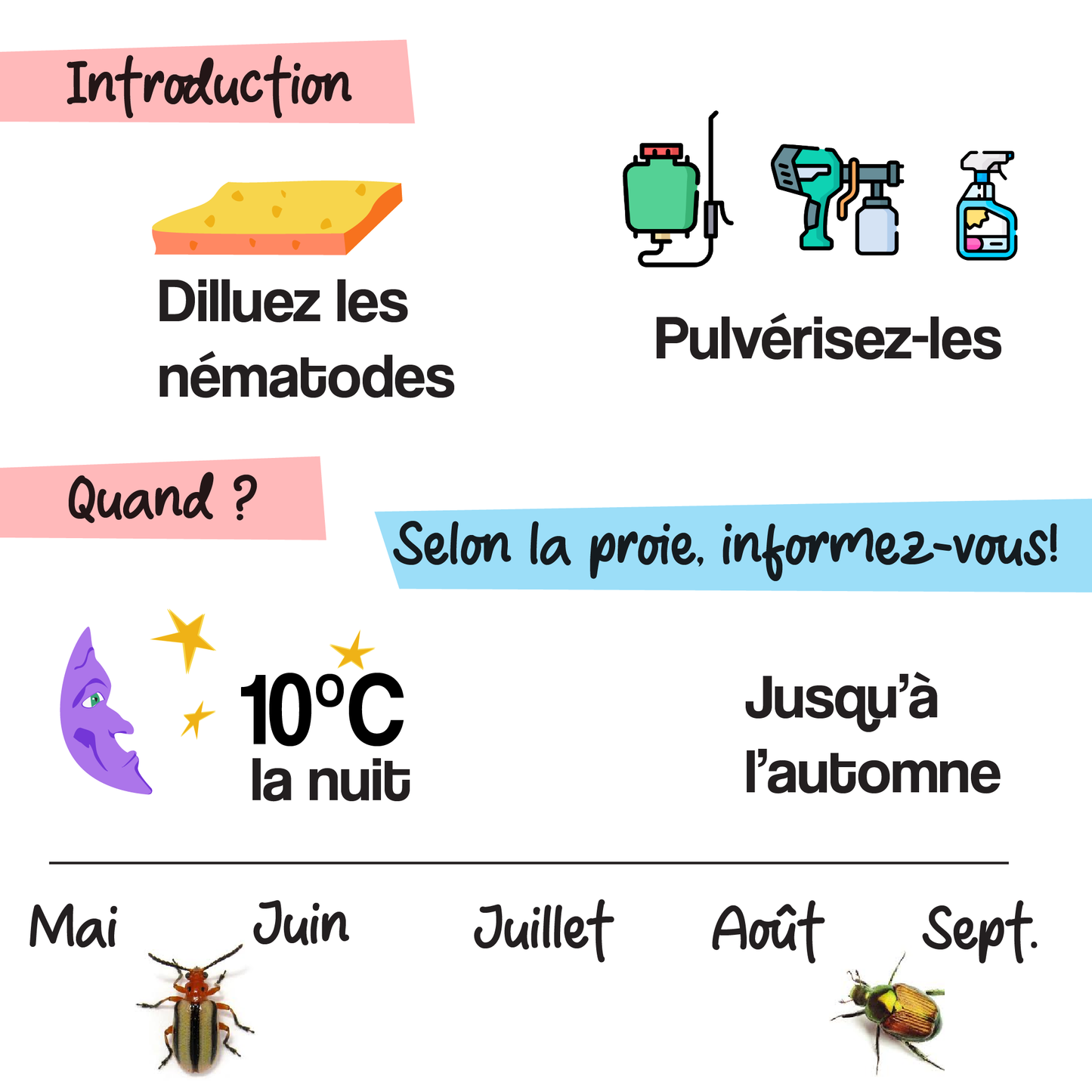 Nématodes pour le jardin (Réservez-les !)