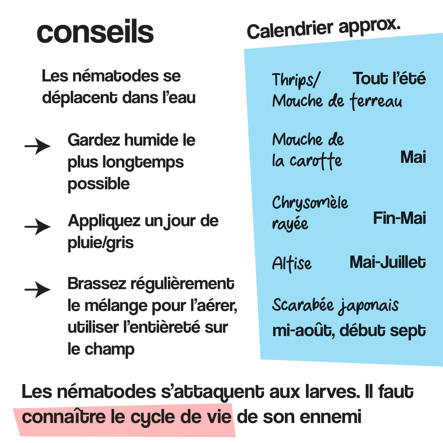 Nématodes pour le jardin (Réservez-les !)