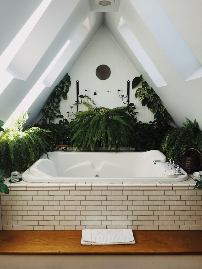 immense baignoire avec des fougères tout autour. salle de bain décorée de plantes